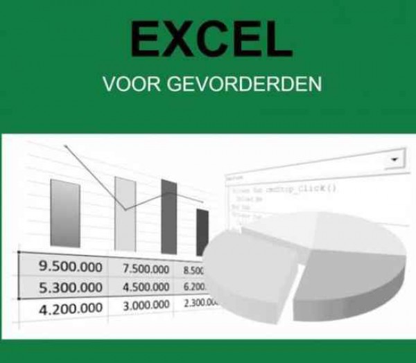 Excel voor gevorderden, 13 januari 2022