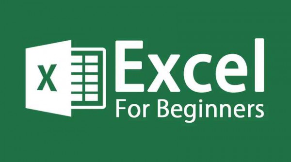 Excel voor beginners, 31 januari 2024